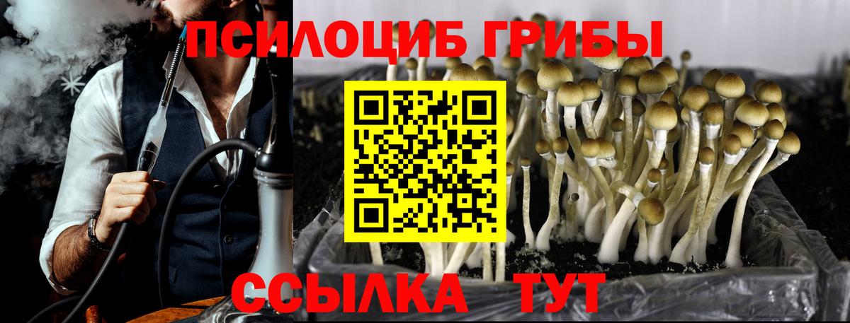 закладка  Вход с VPN  Вязьма  Псилоцибиновые грибы прущие грибы 